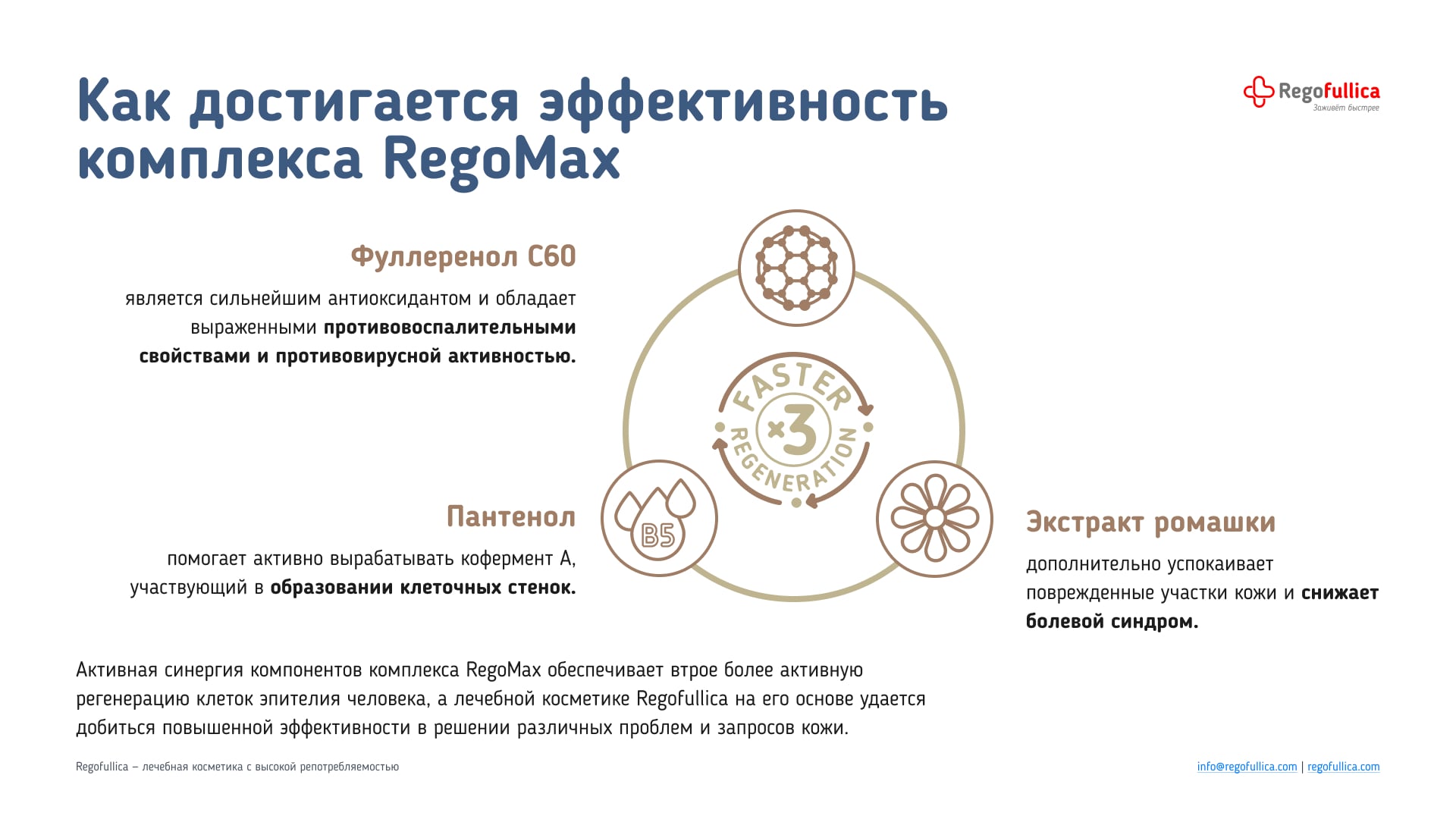 Презентация Regofullica